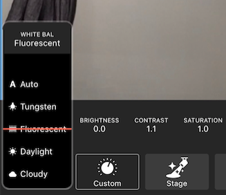 Adjust_Image_08.png