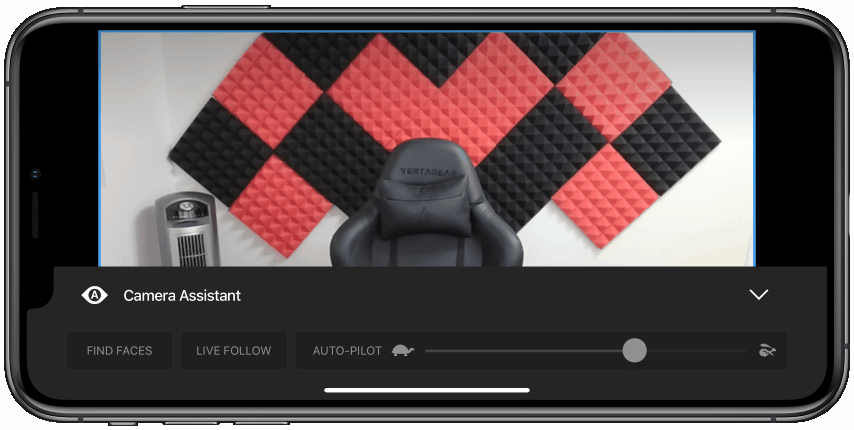 Find Faces enabled